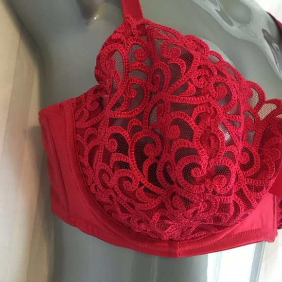 Victoria's Secret 34DD Unlined 1/2 Padding Push Up Cherry Red Lace Underwire Bra - Picture 6 of 16